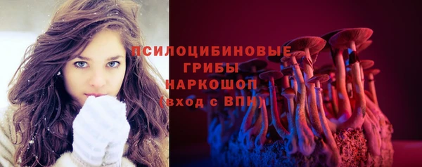 винт Кинешма
