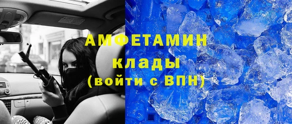 прущие грибы Балахна