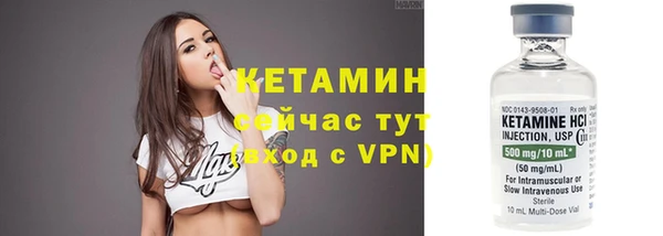 прущие грибы Балахна
