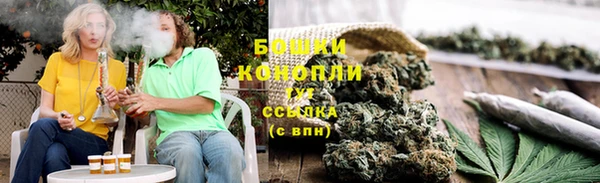 прущие грибы Балахна